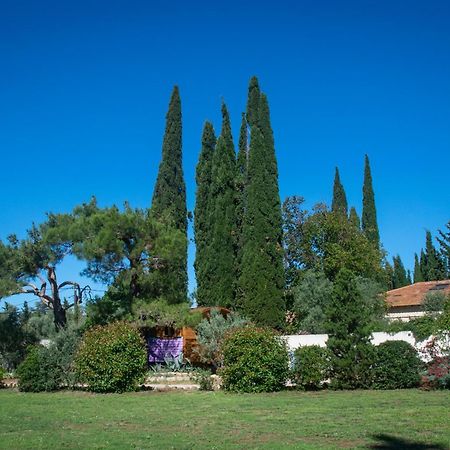 Vintage Provence Hotell Arles Rum bild