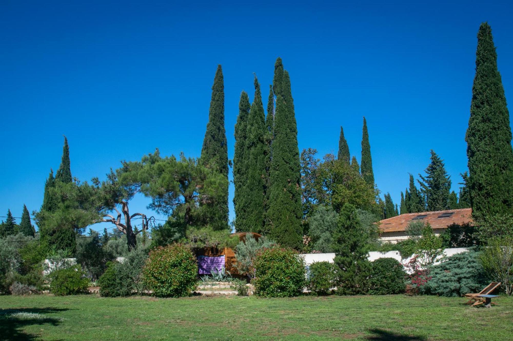 Vintage Provence Hotell Arles Rum bild